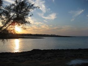 IMG_1430.JPG