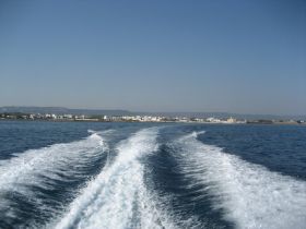 IMG_4036.JPG